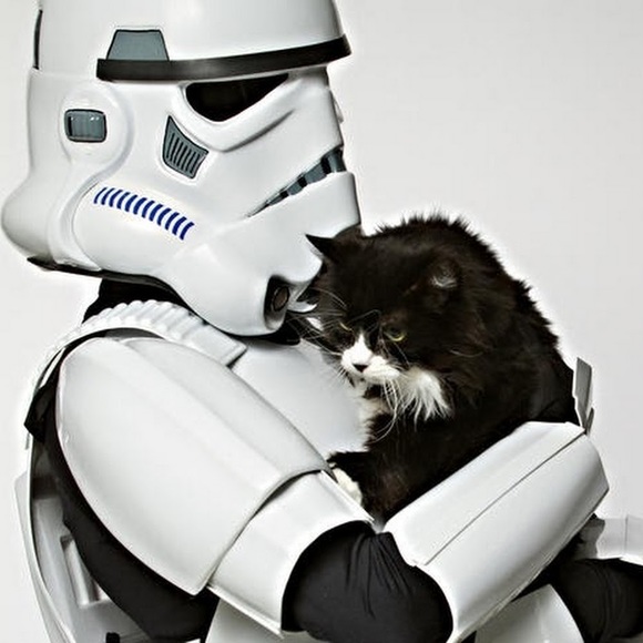 Meet your Posher, T - Picture 1 of 1